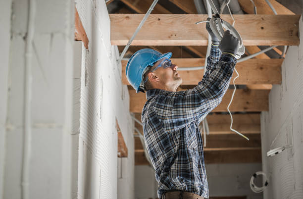 Best Local Electrician Companies  in Carrabelle, FL